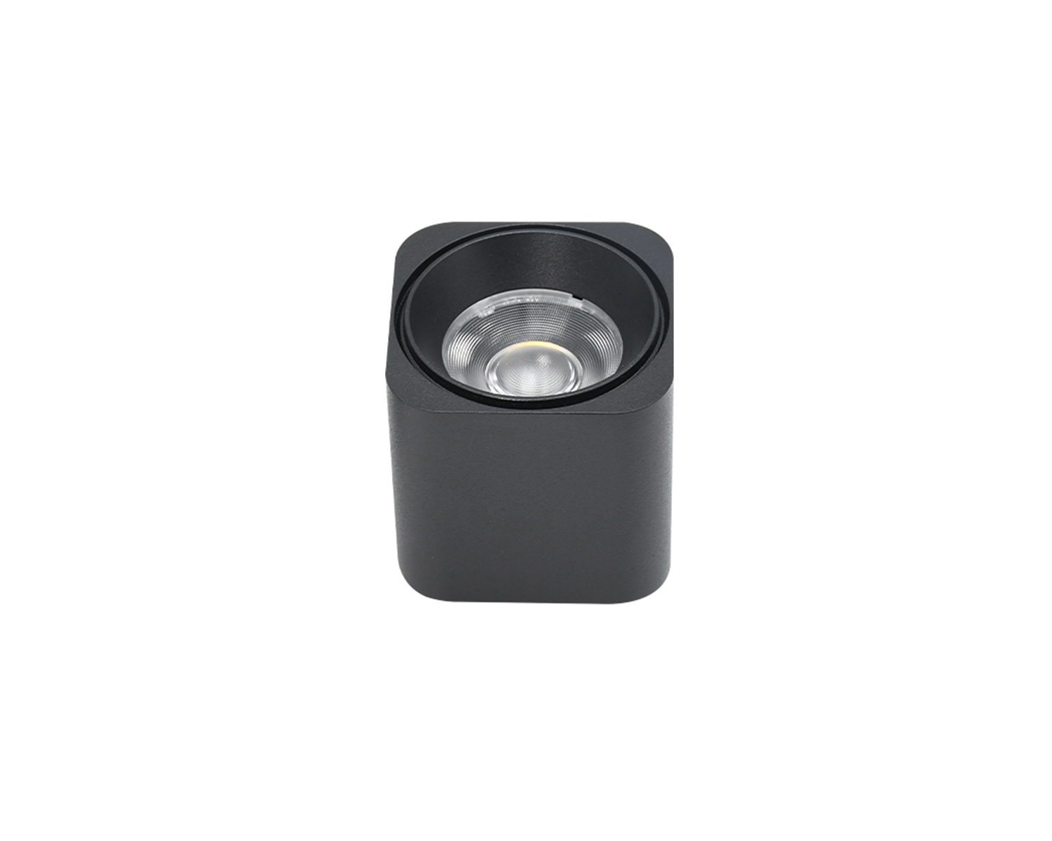 Magnetic Downlight