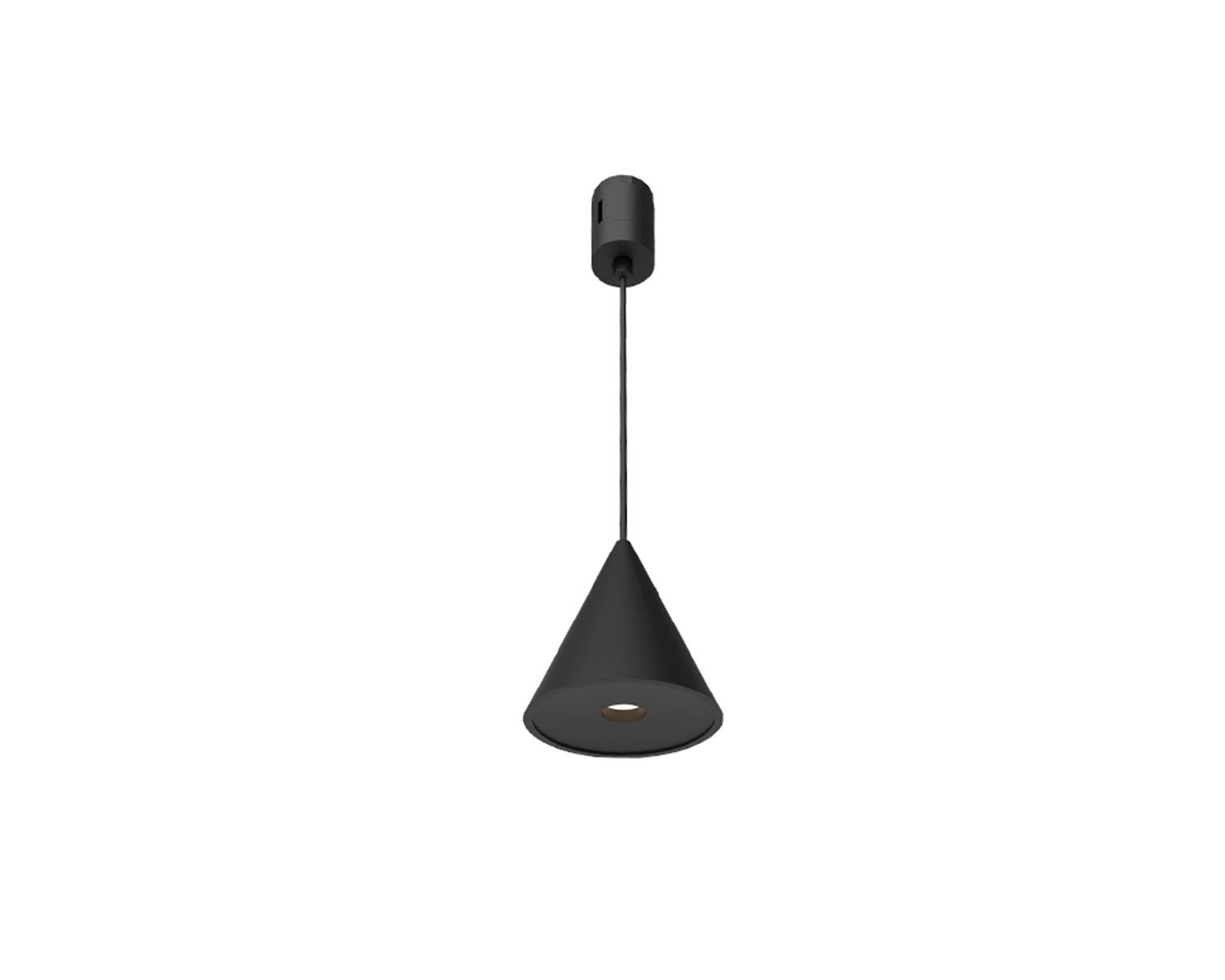 Magnetic Pendant Light2