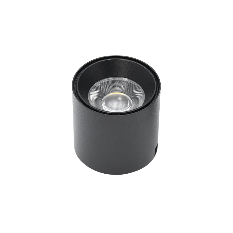 Round COB downlights